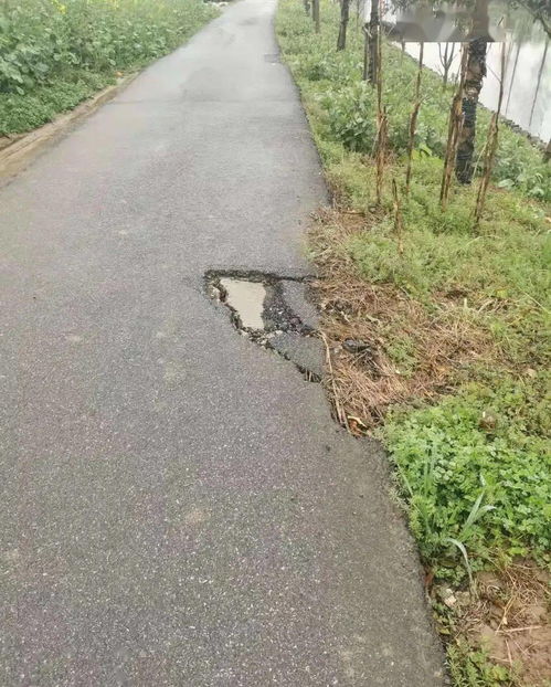 學(xué)史力行辦實(shí)事，光明村用數(shù)據(jù)服務(wù)暖民心